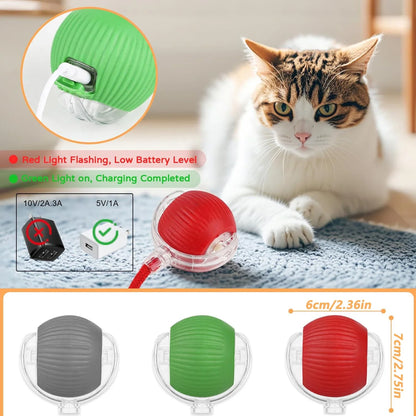Cat Interactive Ball Toy | Comleet