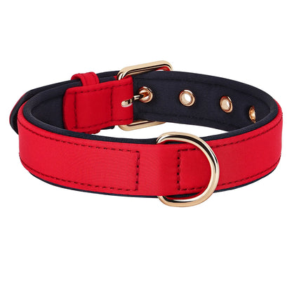 Waterproof Dog Collar | Comleet