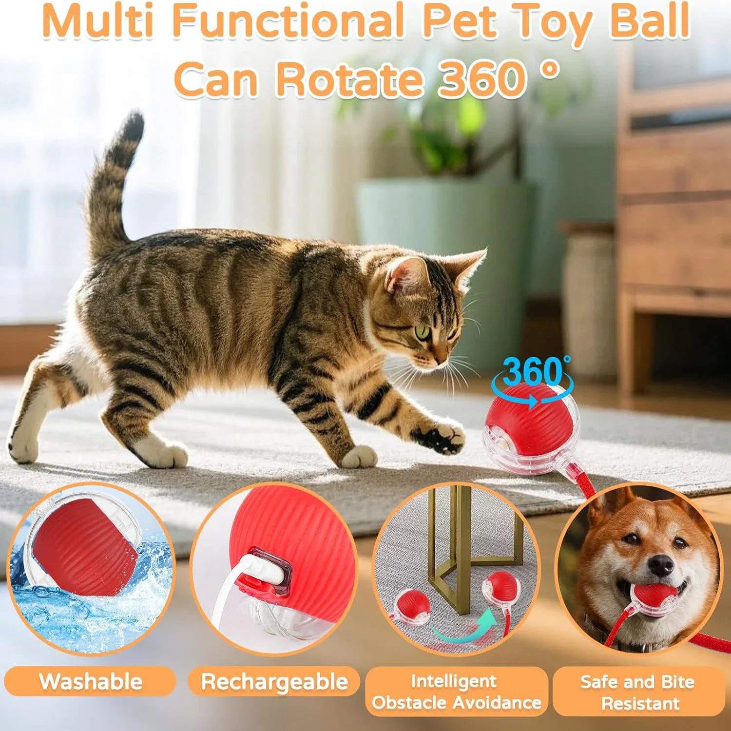 Cat Interactive Ball Toy | Comleet