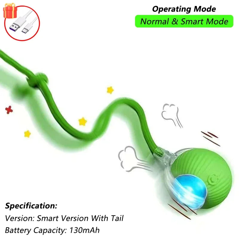 Cat Interactive Ball Toy | Comleet
