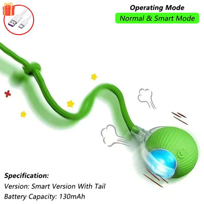 Cat Interactive Ball Toy | Comleet