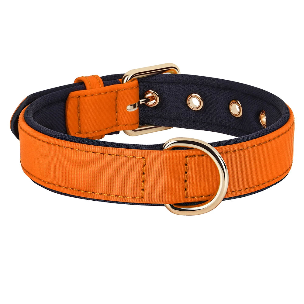 Waterproof Dog Collar | Comleet