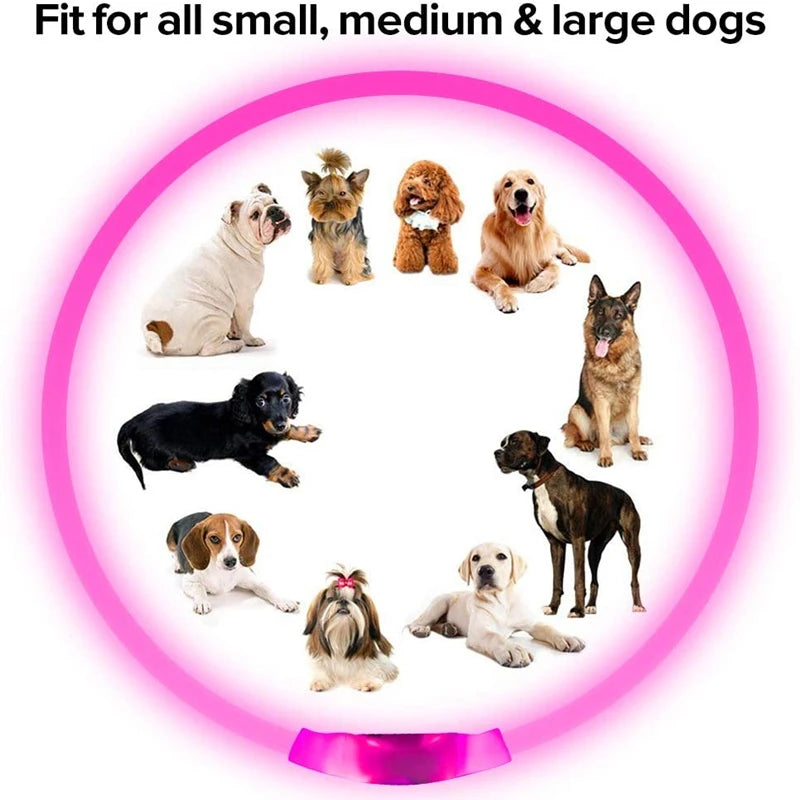 LED USB Dog Collar | Comleet